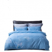 水星家纺(STARHOME) 床品套装 123050 锦瑟未央DH锦瑟未央(抗菌)适用1.5米床，建议搭配200*230cm被芯 （单位：套）