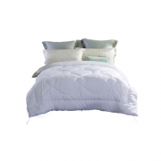 水星家纺(STARHOME) 被子 200*230cm 杜桑羽丝绒被规格200*230cm面料100%聚酯纤维填充物100%聚酯纤维填充物净重1000g （单位：床）