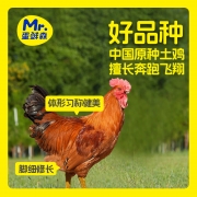 林下散养土公鸡1000g/只 销售单位：（袋）