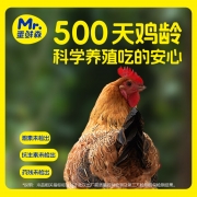 蛋鲜森500天黄油老母鸡1350g±100g/只2只装  销售单位：（袋）